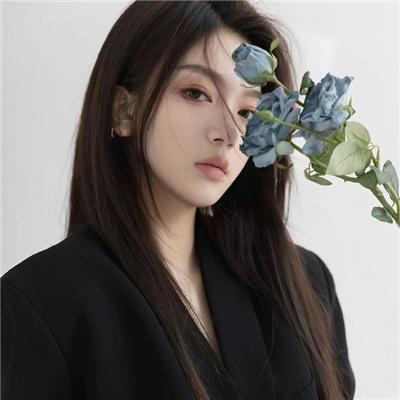 德累斯顿大轰炸(上)